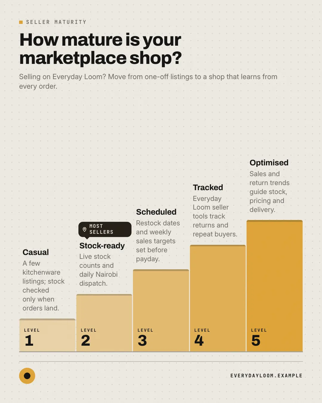 Sample Maturity model creative (Infographics template), shown on the fictional brand Everyday Loom