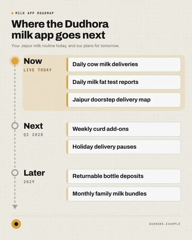 Sample Now / next / later roadmap creative (Infographics template), shown on the fictional brand Dudhora
