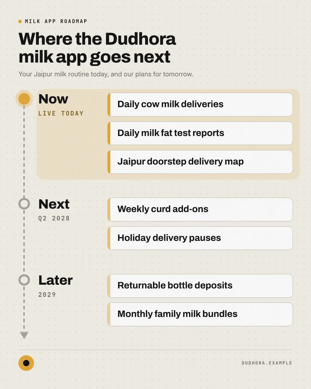 Sample Now / next / later roadmap creative (Infographics template), shown on the fictional brand Dudhora