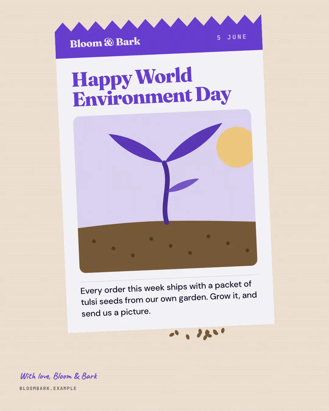 Sample World Environment Day seed packet creative (Festivals & occasions template), shown on the fictional brand Bloom & Bark